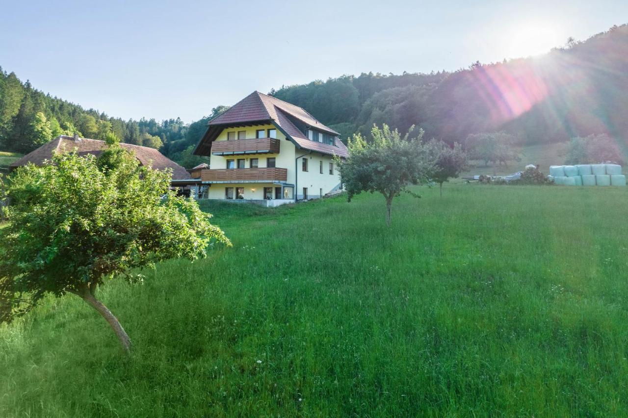 Ferienwohnung Ohnemus Schuttertal Kültér fotó